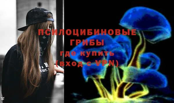 2c-b Богородск