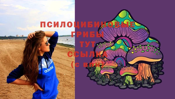 COCAINE Богородицк
