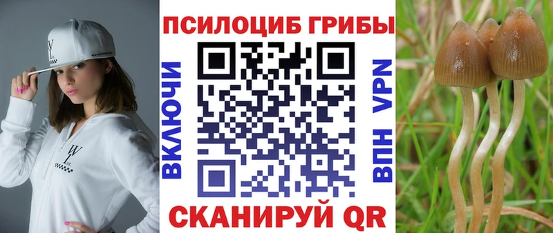 закладки  KRAKEN вход  Псилоцибиновые грибы прущие грибы  Болхов 